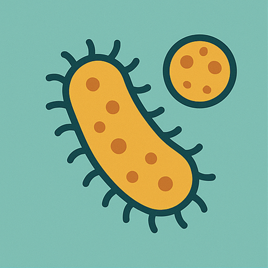 16S rRNA Sequencing