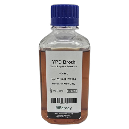 YPD Broth – Pre-Prepared Yeast Growth Medium
